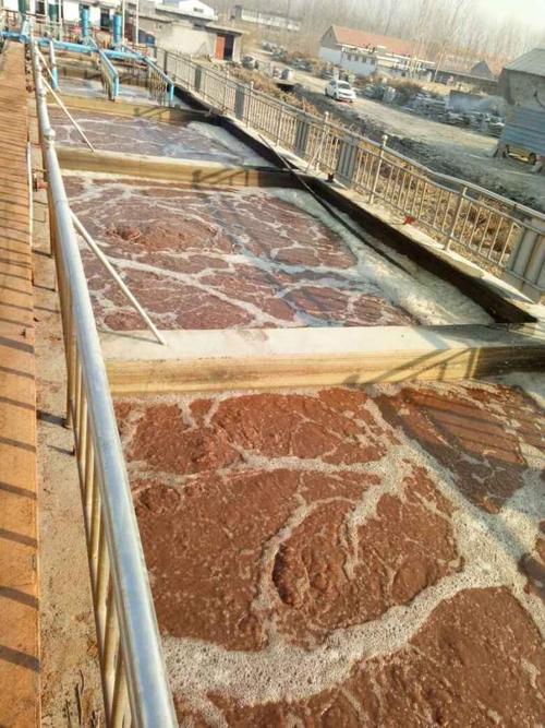 屠宰場(chǎng)廢水水質(zhì)和特點(diǎn) 屠宰場(chǎng)廢水水質(zhì)和特點(diǎn)