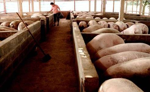 養(yǎng)豬場(chǎng)廢水檢測(cè) 養(yǎng)豬場(chǎng)廢水檢測(cè)