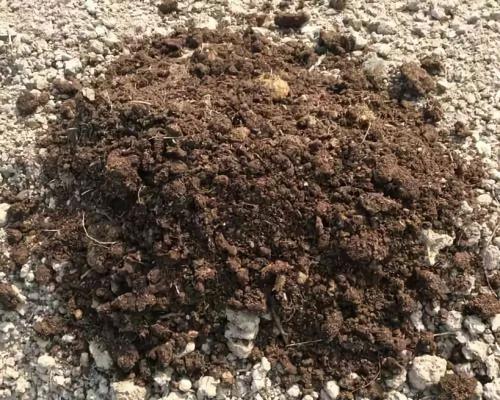 土壤檢測機構(gòu) 土壤檢測機構(gòu)