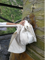 廢氣的排放與檢測 廢氣的排放與檢測