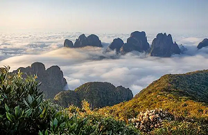 金秀環(huán)境檢測-金秀第三方檢測機構(gòu) 金秀環(huán)境檢測-金秀第三方檢測機構(gòu)